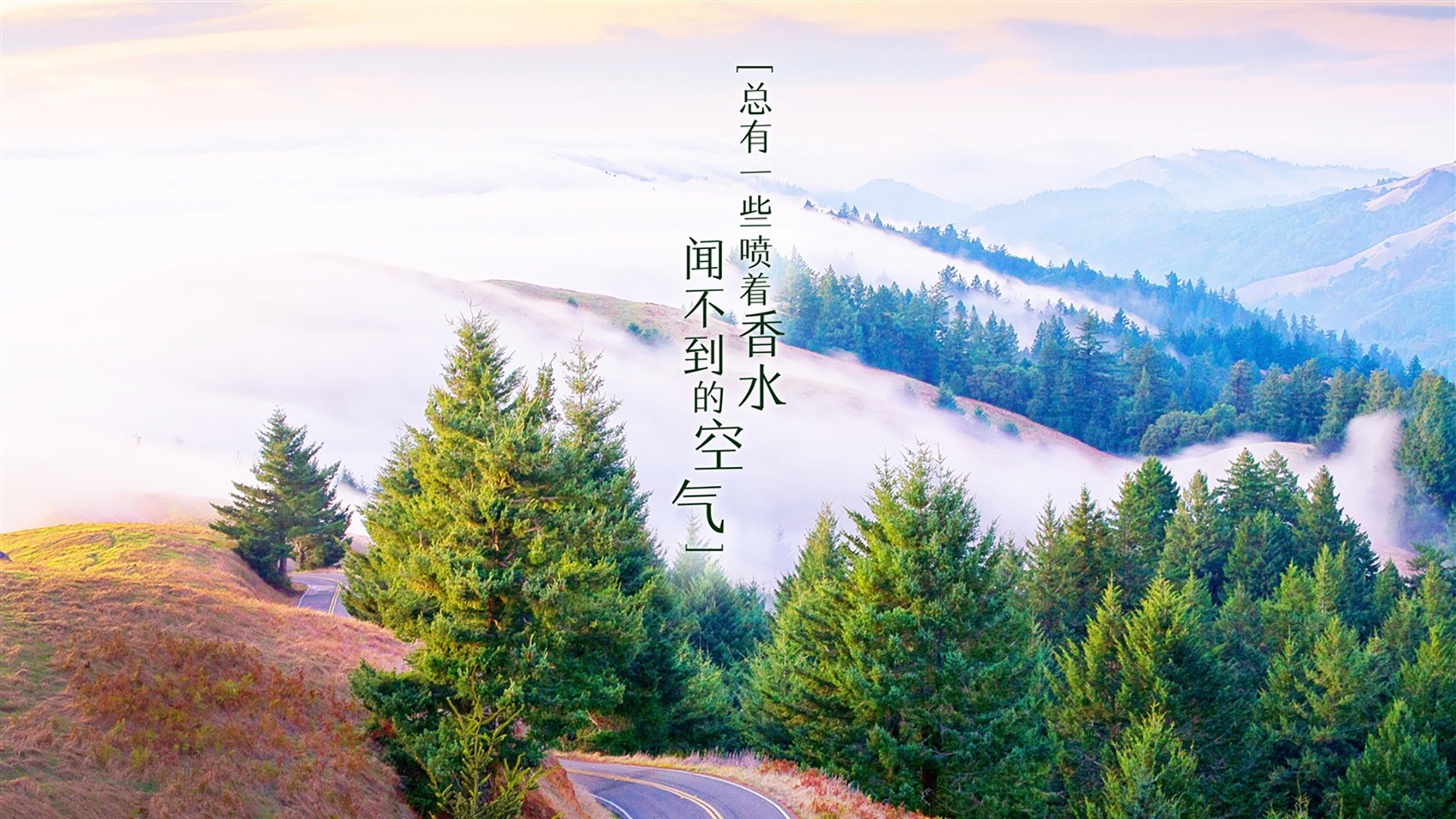 沃尔夫斯堡狼队独领风骚，壮志豪情再续辉煌，沃尔夫斯堡最新阵容