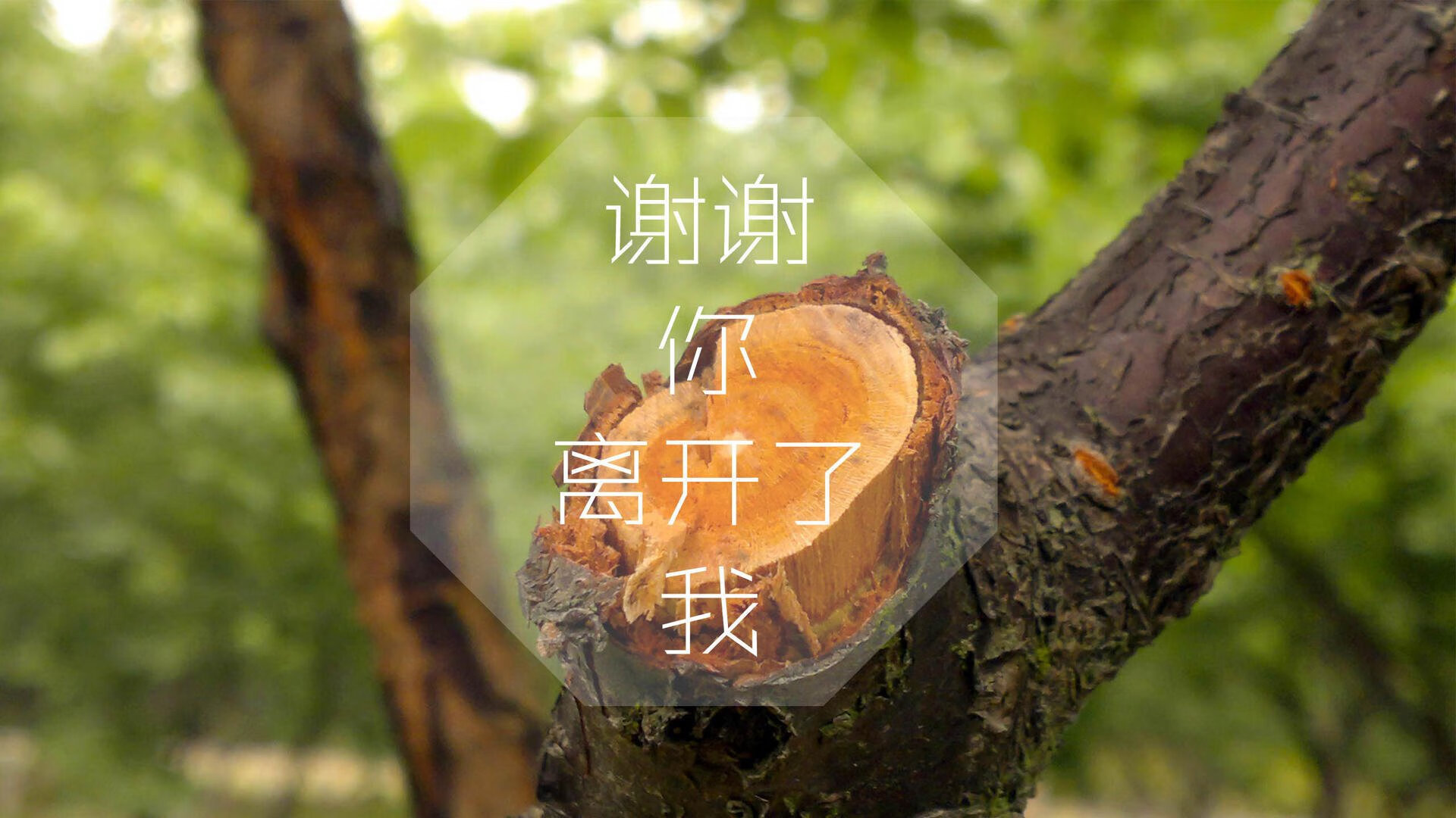爱游戏在线娱乐官网-澳大利亚球队雄心勃勃，争取在亚冠上有所作为，澳大利亚队厉害吗