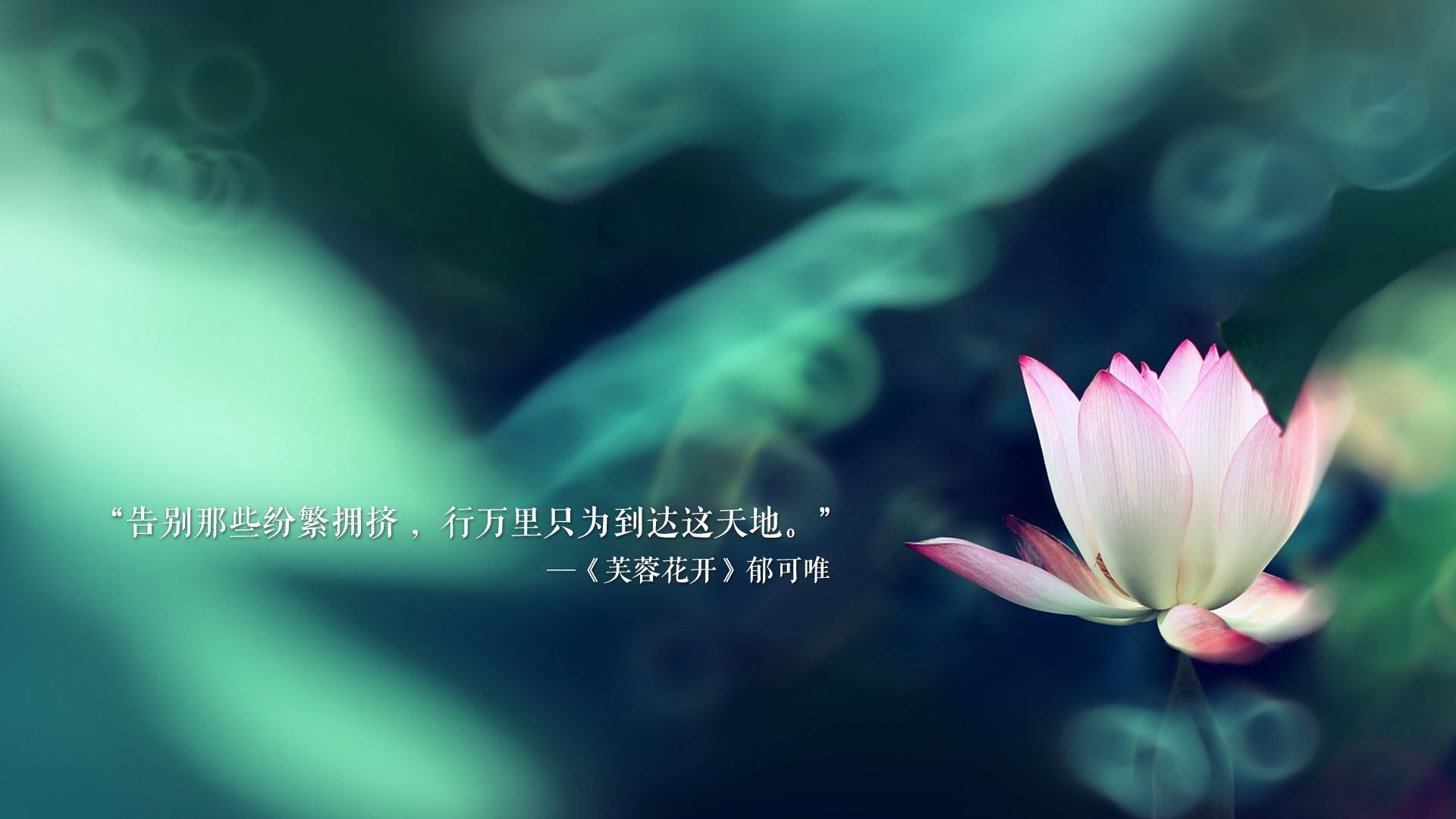 爱游戏官网-澳大利亚男篮击败西班牙，跻身半决赛，2021年澳大利亚男篮