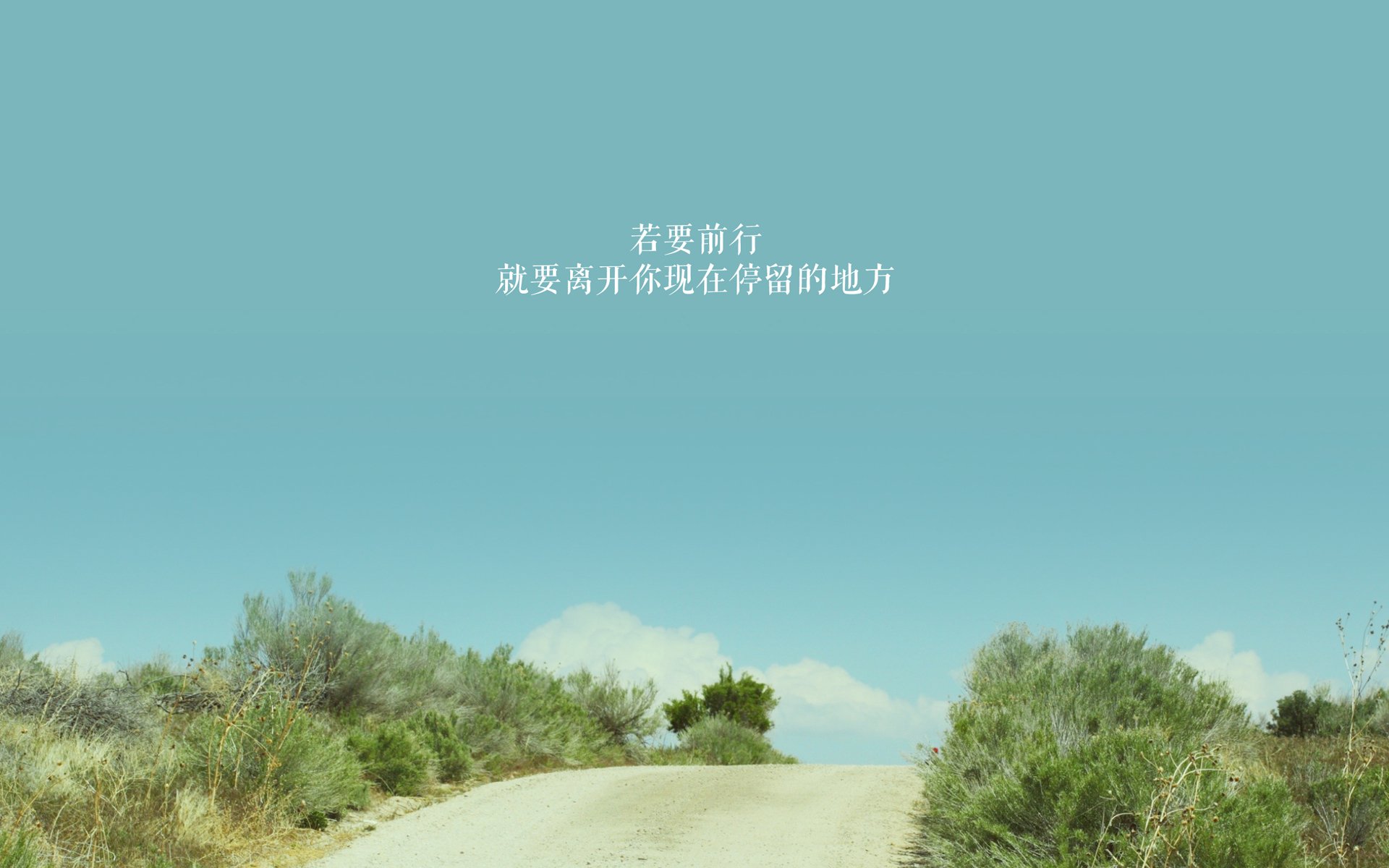 女足世界杯，巾帼不让须眉的竞技盛宴，女足世界杯赛事