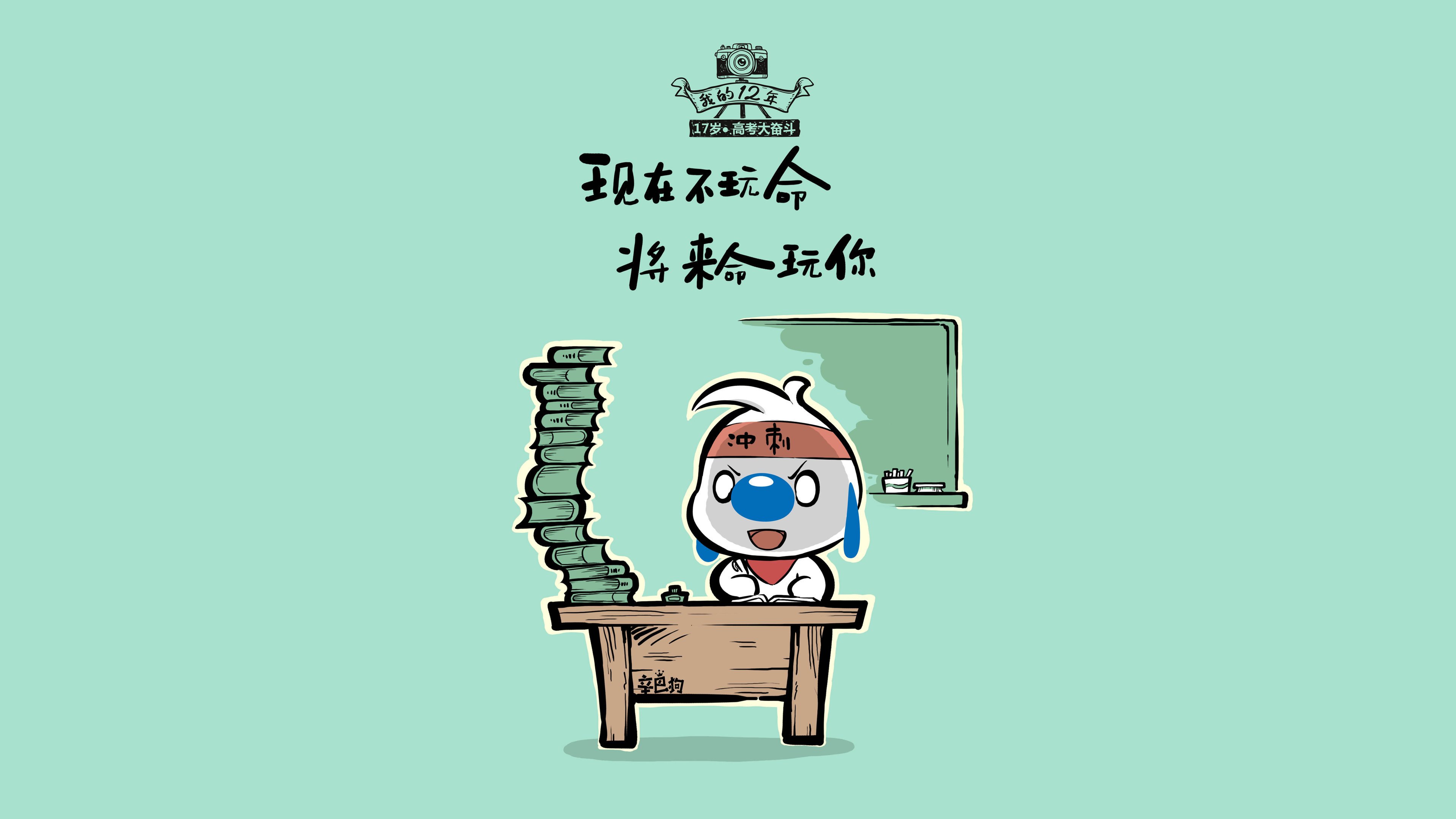 缅因凯尔特人新赛季展望，缅因凯米尔色好不好