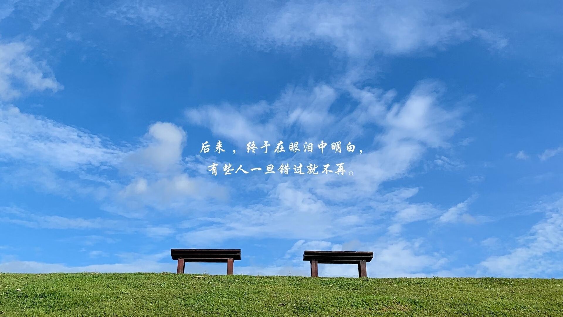 美国乒乓队未来发展蓝图：加强青训体系与国际合作，美国 乒乓球