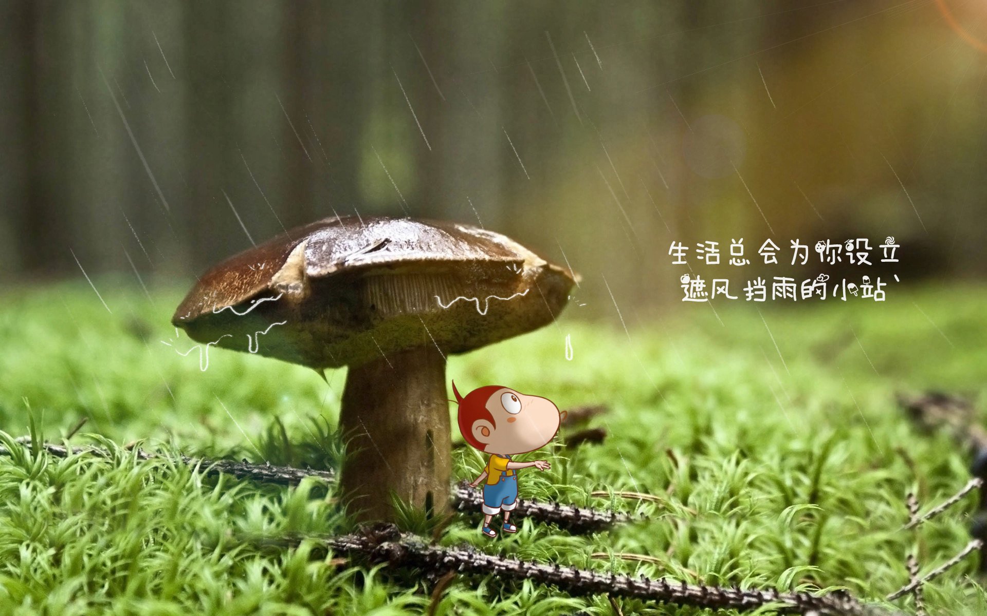 “法甲历史性战役，豪门巅峰激烈角逐”，法甲战况