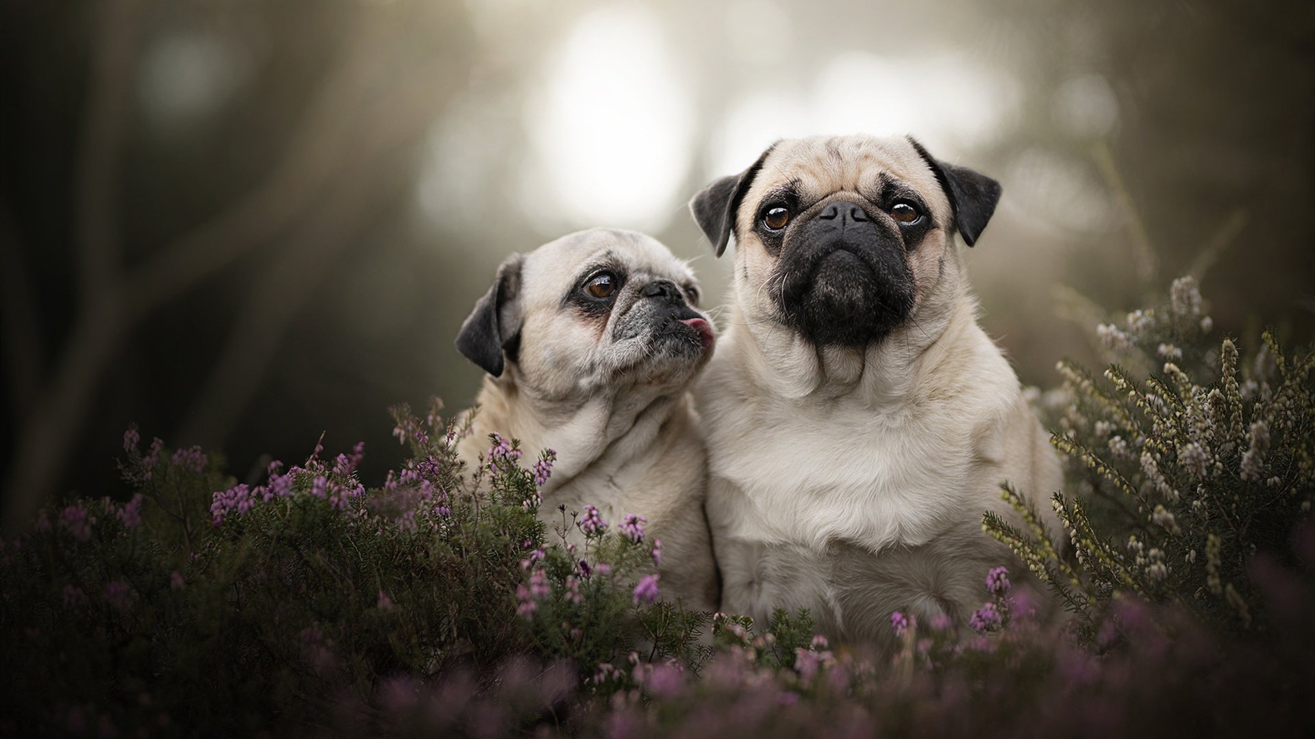 高校篮球开设篮球理论与实践结合课程拓展人才培养，高校篮球发展现状