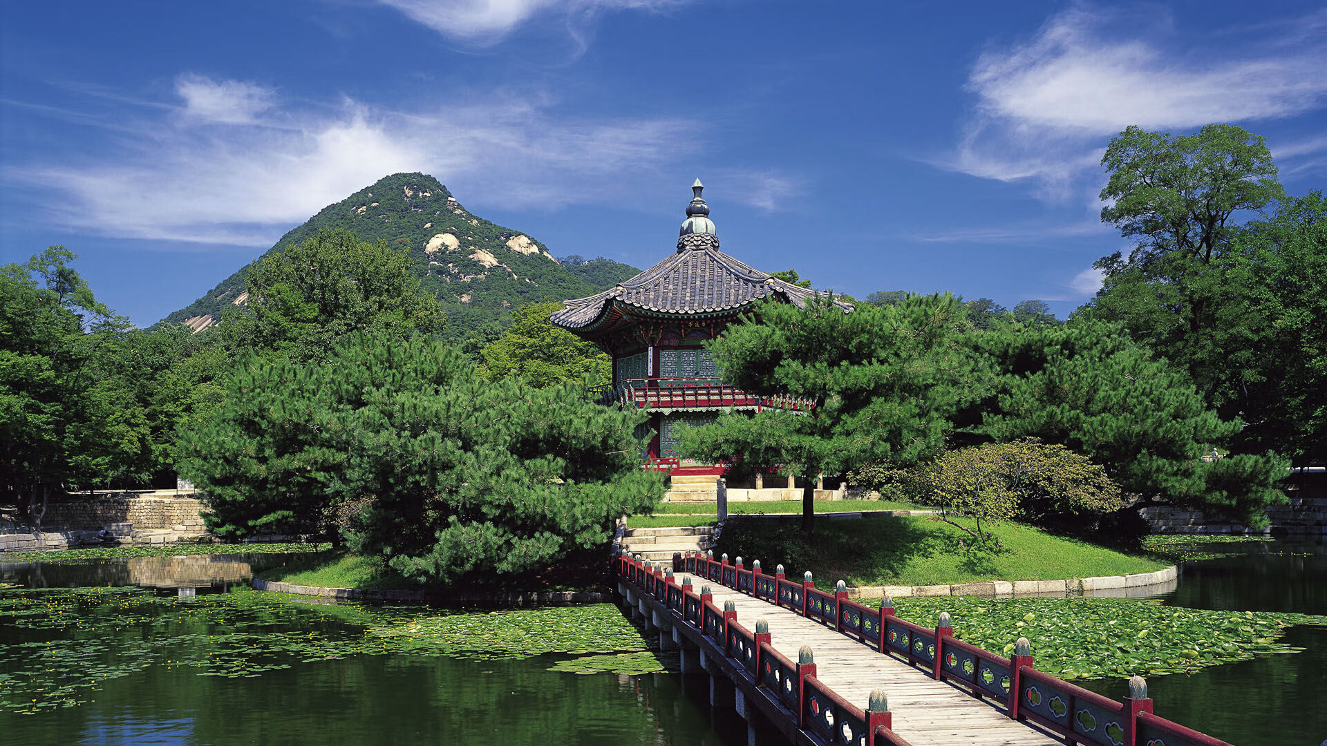 爱游戏体育app-全国残疾人游泳锦标赛打破多项纪录，s6残疾人游泳比赛