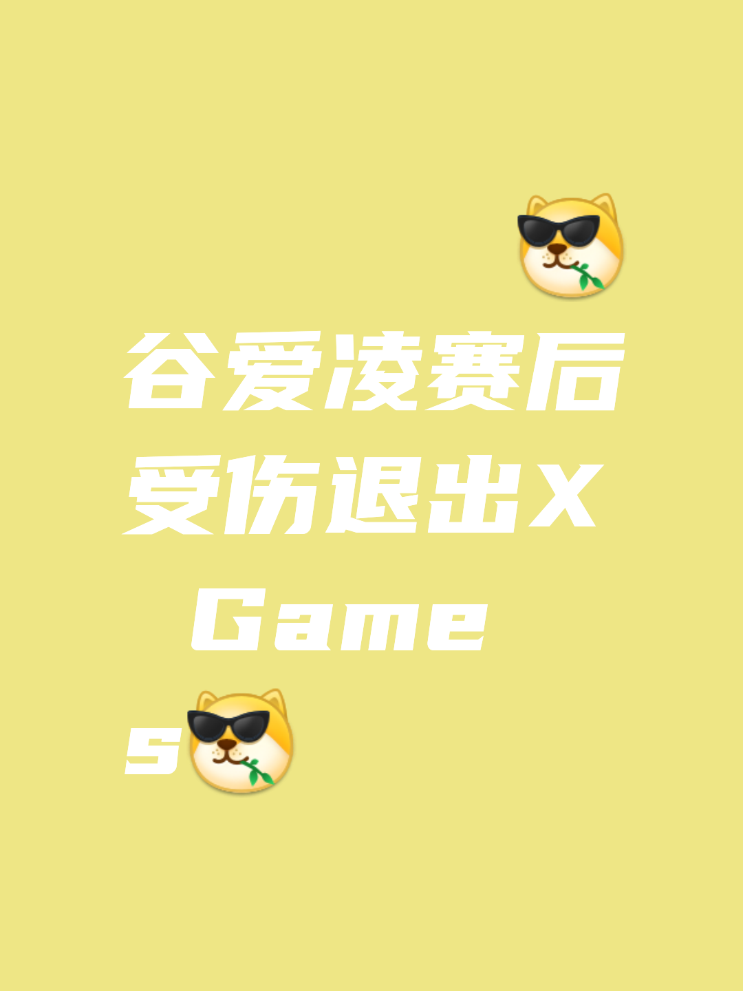 爱游戏体育：性别与运动：女性在各项赛事中的不懈奋斗的简单介绍